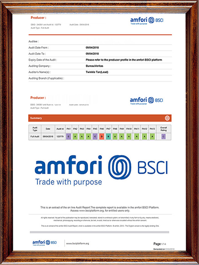 BSCI