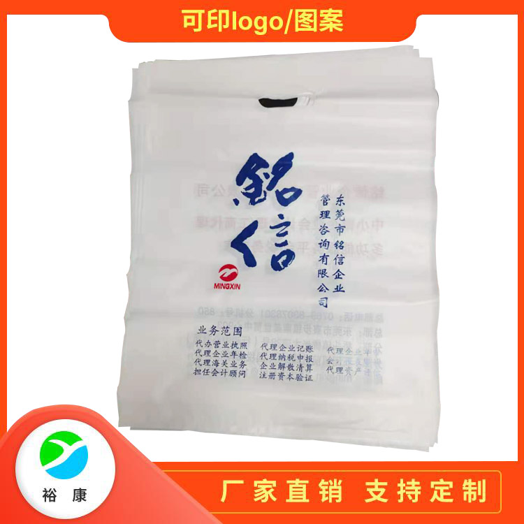 Transparent handbag